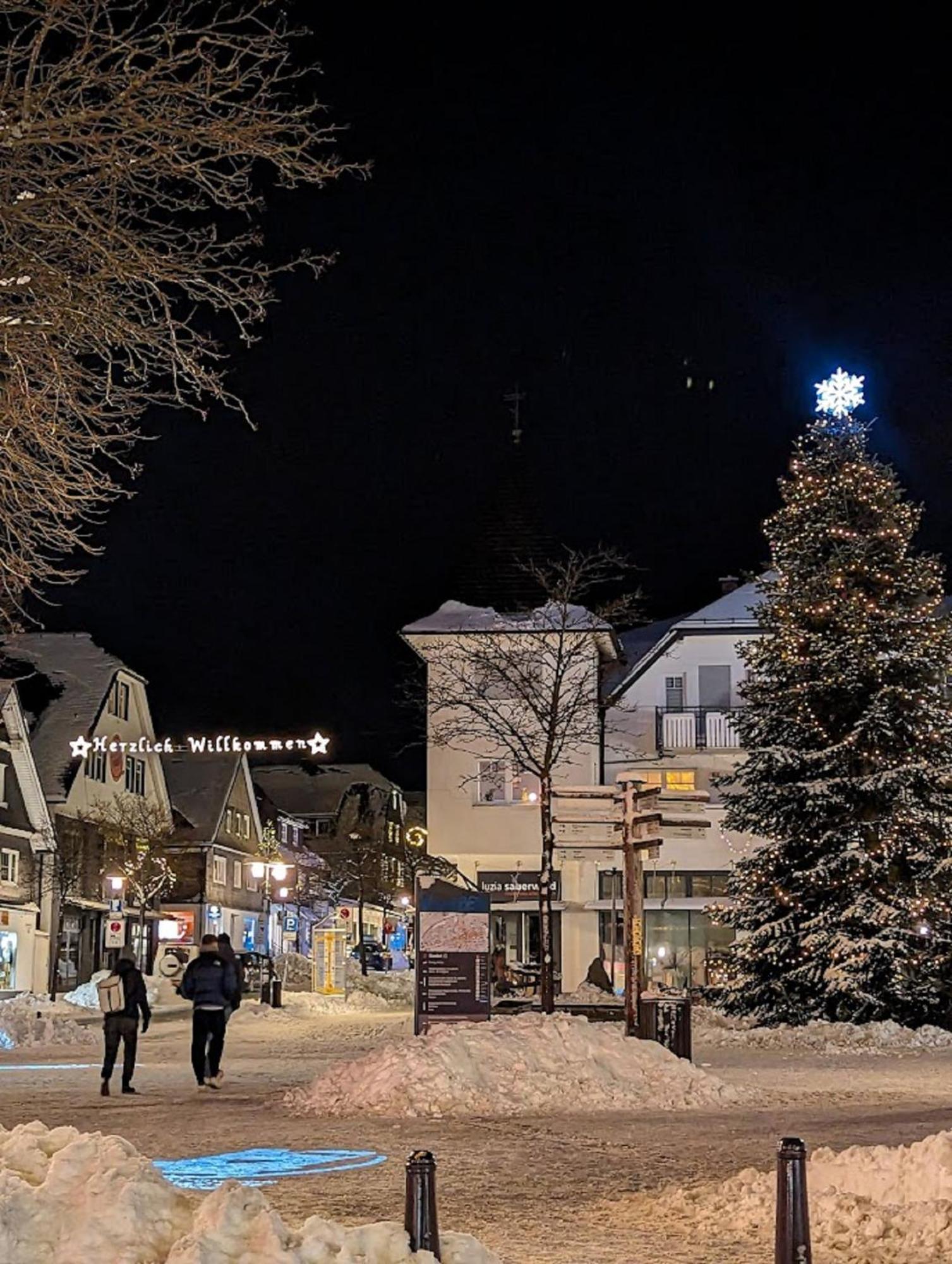 Ferienwohnungen Citylight Винтерберг Екстериор снимка